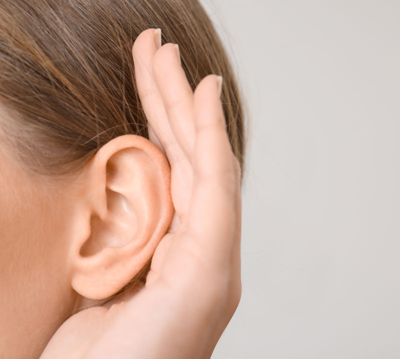 Otospongiose dans l oreille