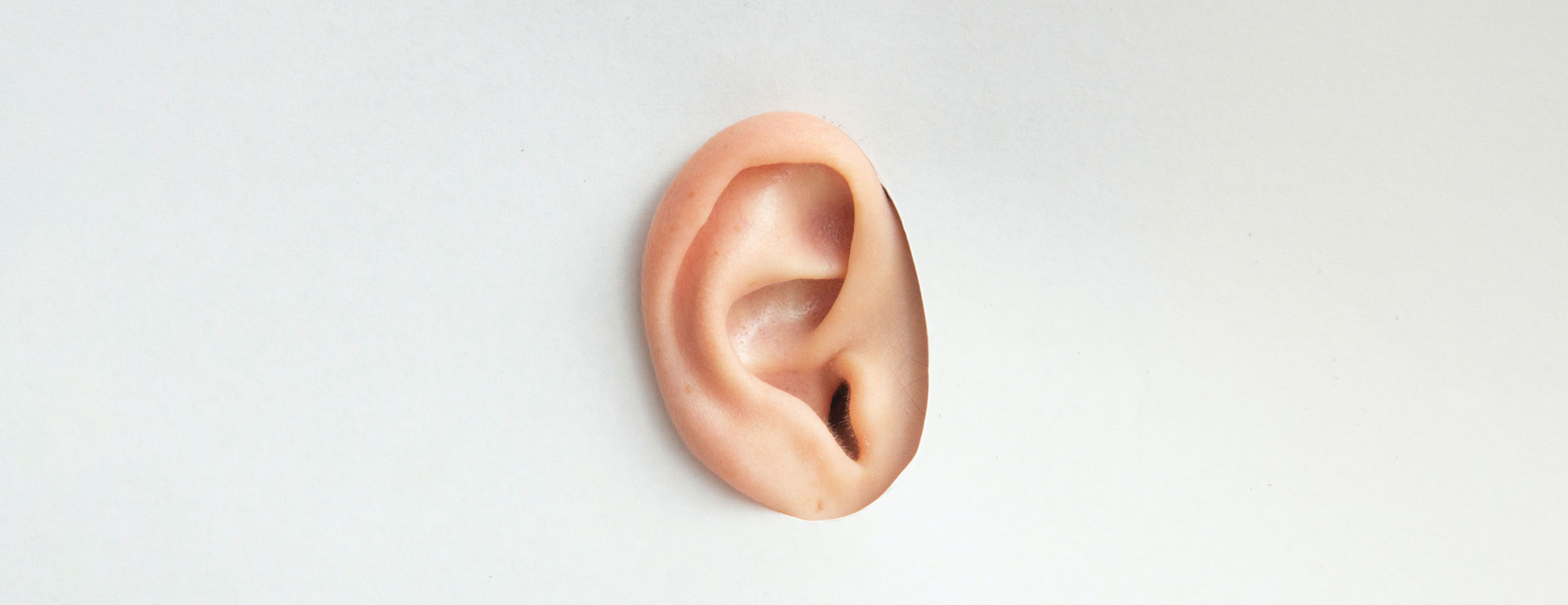 fonctionnement systeme auditif